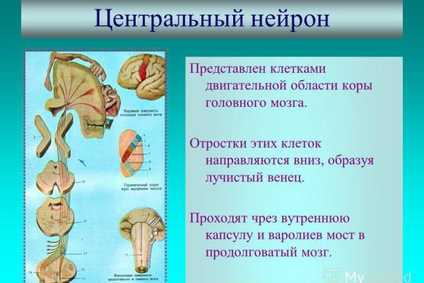 Ссылка на кракен 15ат