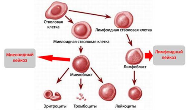 Кракен наркоплейс